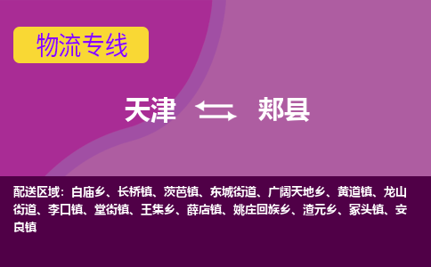 天津到郏县物流公司,天津到郏县货运,天津到郏县物流专线