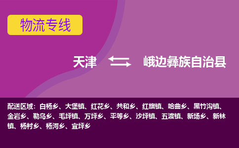 天津到峨边彝族自治县物流公司,天津到峨边彝族自治县货运,天津到峨边彝族自治县物流专线