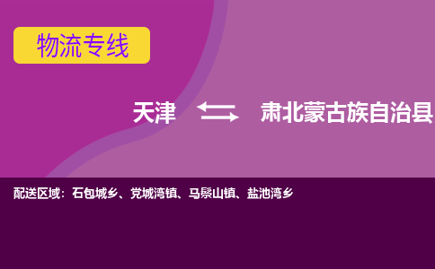 天津到肃北蒙古族自治县物流公司,天津到肃北蒙古族自治县货运,天津到肃北蒙古族自治县物流专线